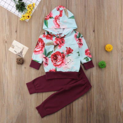 

Newborn Kids Baby Girls Outfits Floral Hooded T-shirt TopsLong Pants 2PCS Set