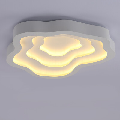 

PJ390 - 67W - WW Warm White Ceiling Light AC 220V