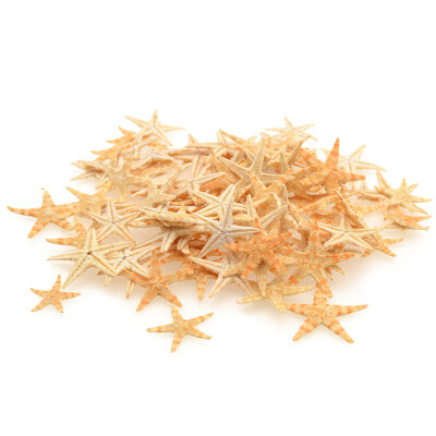 

UpperX 100pcs Mini Starfish Craft Decoration Natural Sea Stars DIY Beach Cottage Wedding Decor