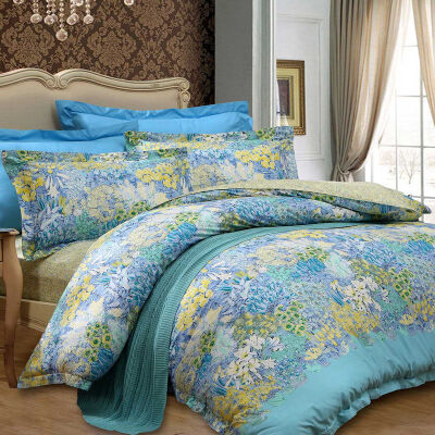 

Bravo Fu Anna produced bedding cotton twill simple four-piece set of empty valley orchid 18 meters bed size increase blue