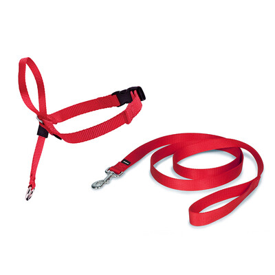 

PetSafe Easy Walk Dog Harness Leash