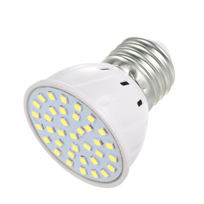 

LED Spot Light Bulb E27 Socket Base 3W 36 LED White SMD2835 AC220V-240V Portable