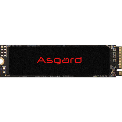 

Asgard AN2 Series 250G M2 Interface NVMe Protocol SSD Solid State Drive