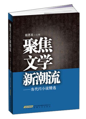 

聚焦文学新潮流：当代闪小说精选