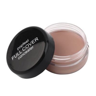 

Hide Blemish Face Eye Lip Creamy Concealer Stick Make-up Concealer Cream FC02