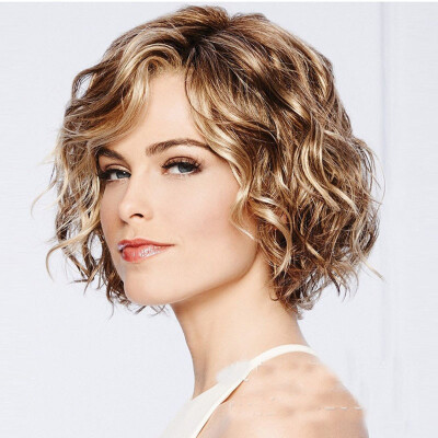 

Charming Lace Human Hair Wigs For Women Pre Plucked Brazilian Virgin Hair Wavy Short Bob Wigs With Baby Hair