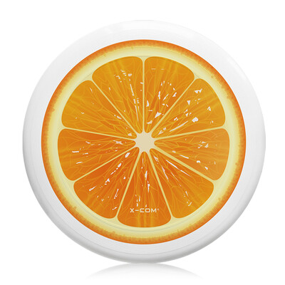 

107 Inch 175g Plastic Flying Discs Outdoor Play Toy Sport Disc