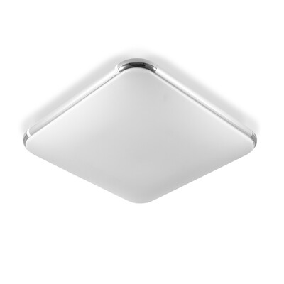 

I506 - 36W - WW Ceiling Light AC 220V