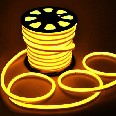 

YWXLight 5M LED Strip Flexible Neon Lights Waterproof LED Light Lamp AC 220 - 240V