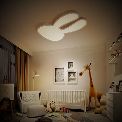 

MY1731 - 49W - WW LED Warm White Ceiling Lamp for Children AC 220V