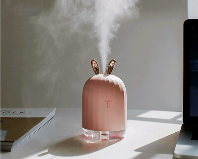 

High Quality 220ML Ultrasonic Air Humidifier Aroma Essential Oil Diffuser for Home Car USB Fogger Mist Maker with LED Night Lamp