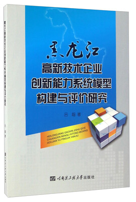 

黑龙江高新技术企业创新能力系统模型构建与评价研究
