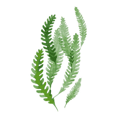 

UpperX Frameless Rock Fern Green Leaf Oil Painting Numbers DIY Digital Coloring Wall Arts Pictures For Living Room 40 X 50Cm