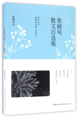 

张晓风散文自选集（名家散文自选集）