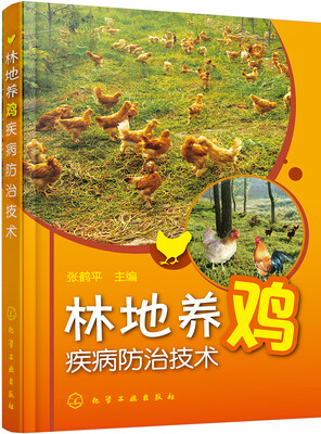 

林地养鸡疾病防治技术