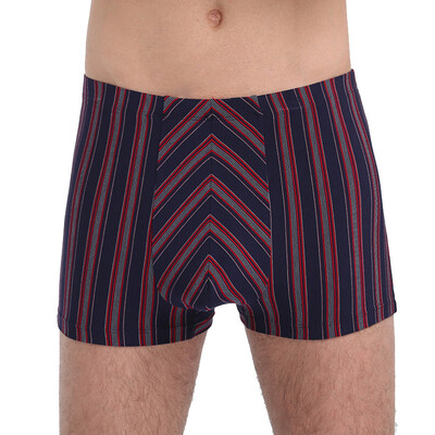 

Small nurse men&39s underwear flat angle modal striped underwear SSN053 purple bar 185 115XXXL