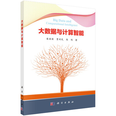 

大数据与计算智能