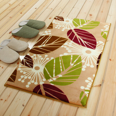 

[Jingdong supermarket] rich home (FOOJO) coral cashmere mats kitchen and toilet mat 40 * 60cm colorful feathers