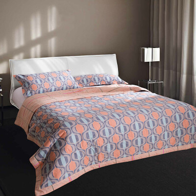 

Jingdong Supermarket] Antarctic people are core cotton textured cotton core skin soft air conditioning quilt cotton summer cool by Kristin 150 * 200cm