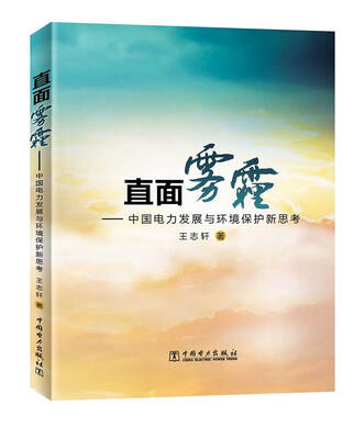 

直面雾霾：中国电力发展与环境保护新思考