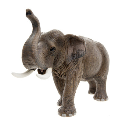 

Schlech Schleich German brand children's toys hand-painted animal simulation of wild animals - male elephant (old and new mixed) SCHC14754