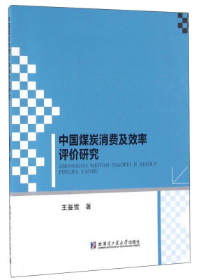 

中国煤炭消费及效率评价研究