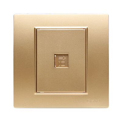

Zhengtai CHNT socket panel switch socket computer TV socket champagne gold 7L series NEW7-L21202