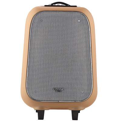 

Yalan Shi EARISE M31 outdoor Bluetooth Square dance sound box high-power subwoofer rod audio remote control gold
