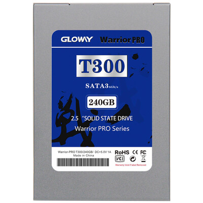 

Кой (Gloway) Титаны 240G Solid State Drive