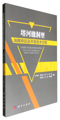 

塔河缝洞型油藏特征及开发技术对策