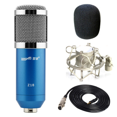 

Double Connaught D3301 large diaphragm capacitor microphone network K song network host broadcast wheat studio dedicated