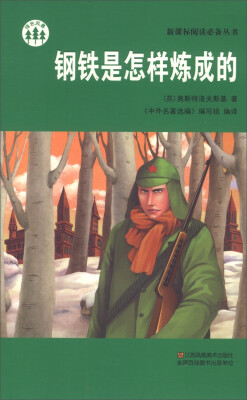 

钢铁是怎样炼成的/新课标阅读必备丛书