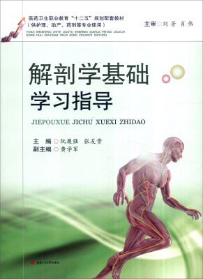 

解剖学基础学习指导（供护理、助产、药剂等专业使用）