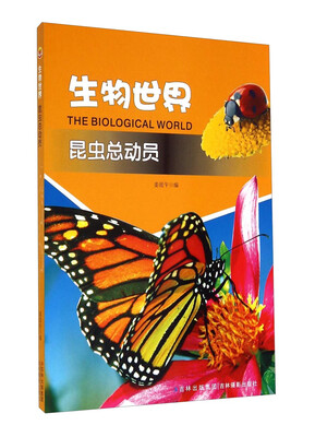 

生物世界：昆虫总动员