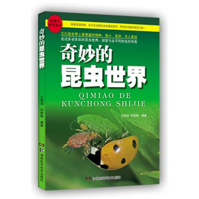 

奇妙的昆虫世界