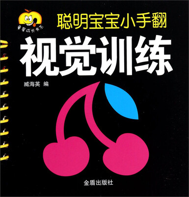 

童星成长书系·聪明宝宝小手翻：视觉训练