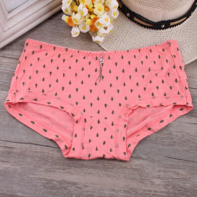 

In the low lovely underpants modal ladies underwear wide waist briefs lovely cuecas color gift a loaded kawaii single panties