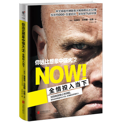 

你远比想象中强大2:全情投入当下[NOW！]