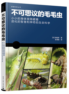 

不可思议的毛毛虫