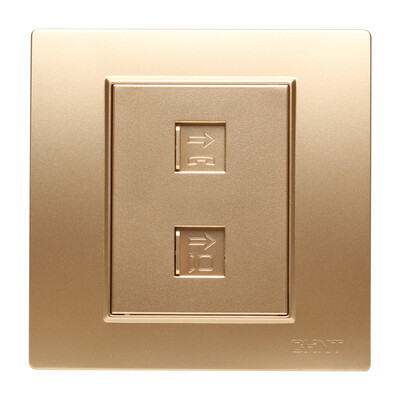 

Zhengtai CHNT socket panel switch socket phone computer socket champagne gold 7L series NEW7-L20902