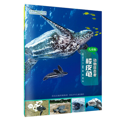 

动物目击者：棱皮龟（儿童版）