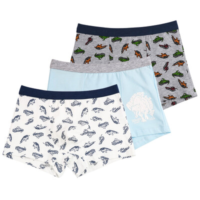 

Red beans Hodo children underwear male middle class A class standard three boxed children cartoon printing four pants HDK789 165