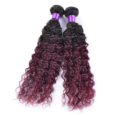 

1 Bundles 1B 99J Ombre Weave kinky curly Human Hair 7A Cheap Burgundy Ombre malaysian Hair Bundles Weave two tone ombre Burgundy