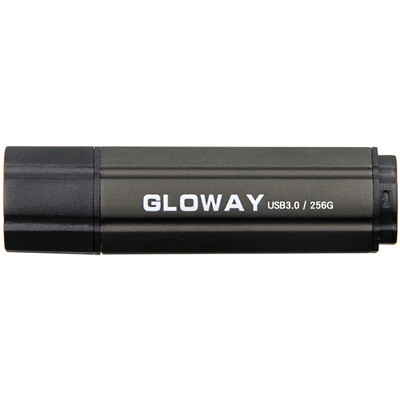

Gloway G-speed Time Series 256G U disk USB30 brown