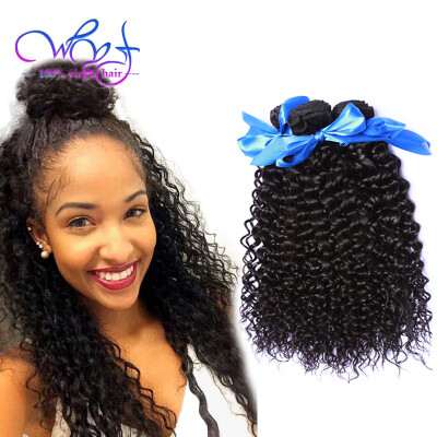 

WYF 2017 Best Selling Kinky Curly Human Hair Weft 4 Bundles 8A Peruvian Kinky Curly Virgin Hair 100% Peruvian Human Curly Hair