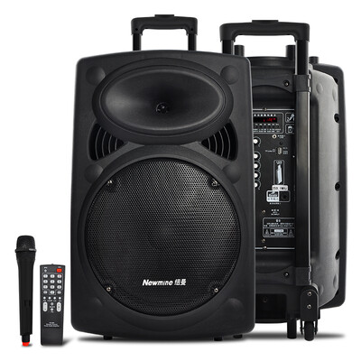 

Newman BW-212 outdoor square dance audio Bluetooth lever audio single microphone