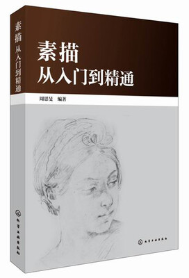 

素描从入门到精通