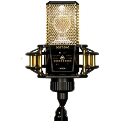 

Levitt (LEWITT) DGT 260 with sound card microphone recording live dubbing teaching game microphone Xiao Jinren