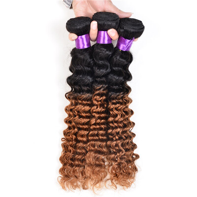 

8A Ombre Tissage Malaysian Virgin Hair 4 Bundles Deep Wave Ombre Human Hair Curly Hair Meches Bresilienne Lots Deep Curly Weave