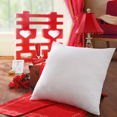 

LOVO Lorraine life produced wedding matching cushions core supporting cushions upgrade 65 65cm